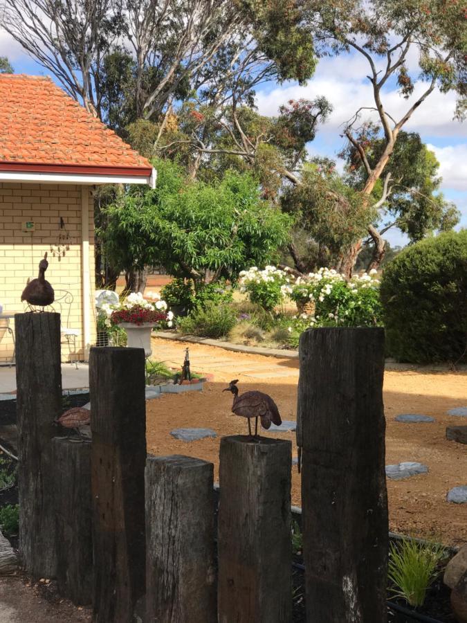 Yellow Gum Bed And Breakfast Katanning Exterior photo