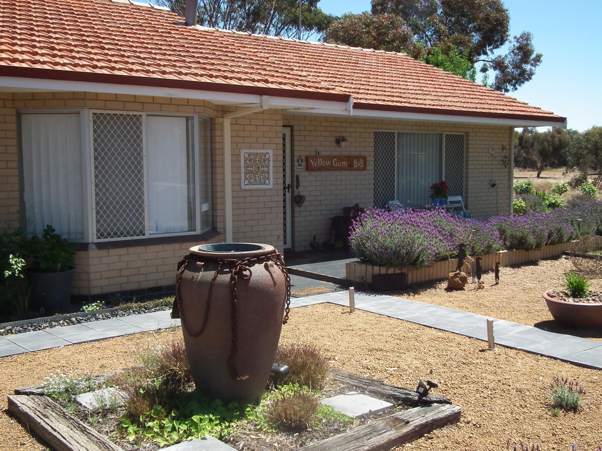 Yellow Gum Bed And Breakfast Katanning Exterior photo