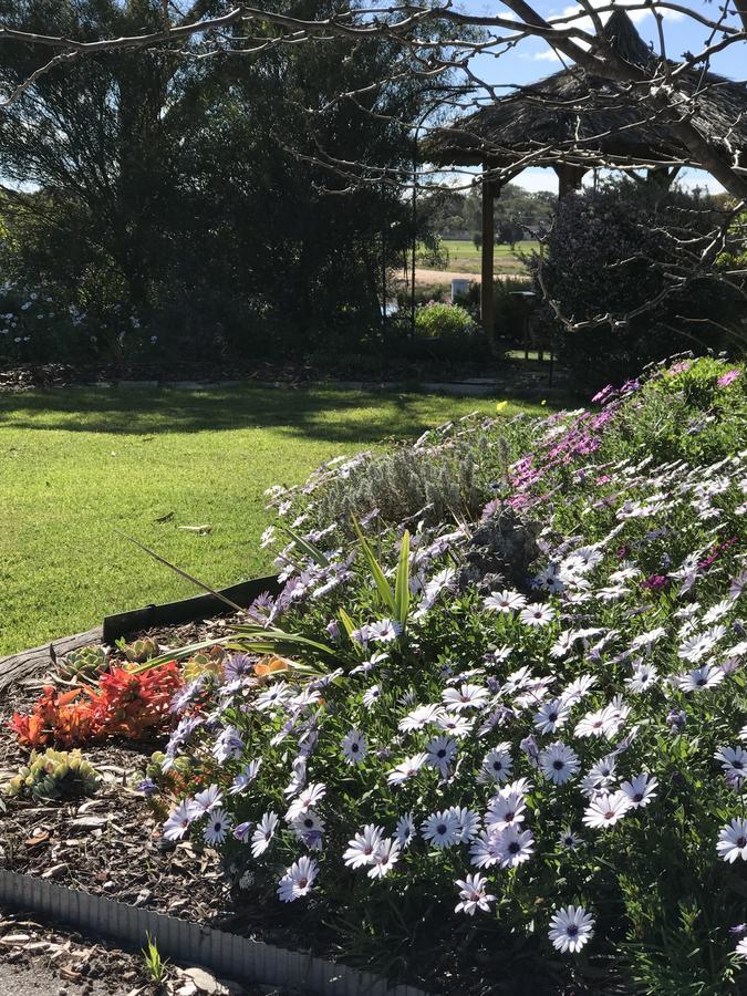 Yellow Gum Bed And Breakfast Katanning Exterior photo